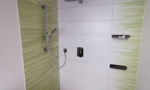 Barrierefreie, ebenerdige Dusche mit Regen- und Handbrause, grünen Fliesenakzenten und integrierten Ablagen.